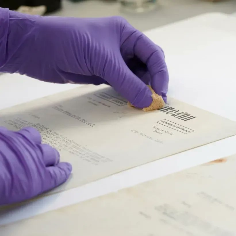 NARIreland's tweet photo. Want to work with a historically important collection in a beautiful #conservation space, with a great team of people?  We are looking for a Senior Conservator in the National Archives of Ireland. Closing date for applications is 3.00 PM, 8th April, 2022. https://t.co/Ycmm6lWzq2 https://t.co/WPWuS9tD9d