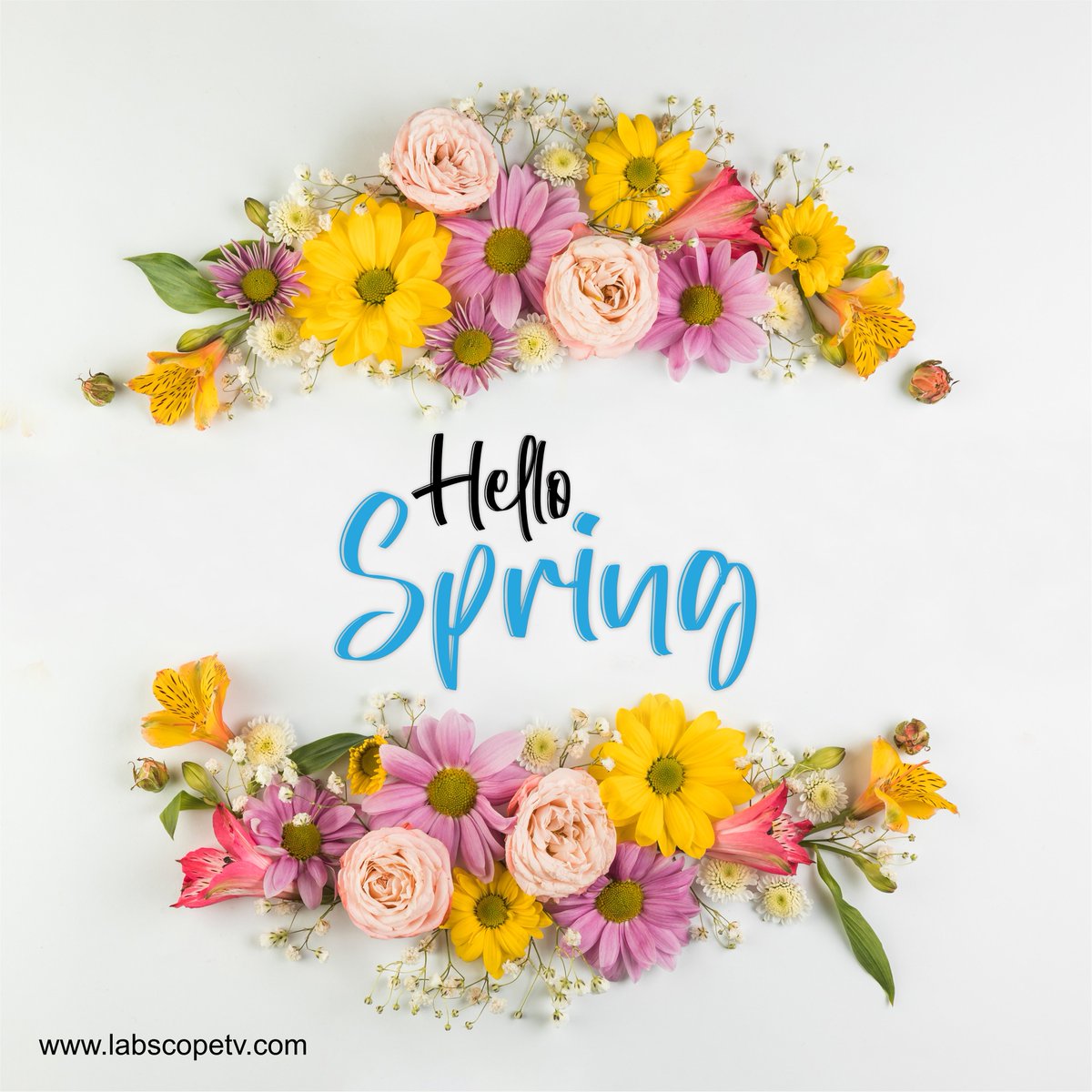 LabScopeTV1's tweet photo. Wishing a bright, warm, and beautiful Spring! 🌸🌹🌼🌻🌺

Happy Spring! 🌷
.
#springday #springtime #springvibe #springvibes #spring2022 #springmood  #springlove #springlover #springlovers #springfever #spring #springflowers #springflower #almostspring #hellospring https://t.co/WwqvrBxyhw