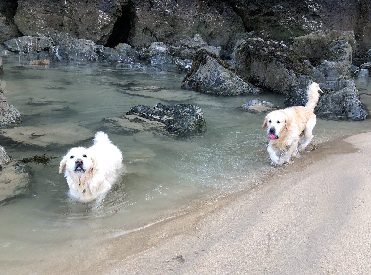 This is what we like 🌊