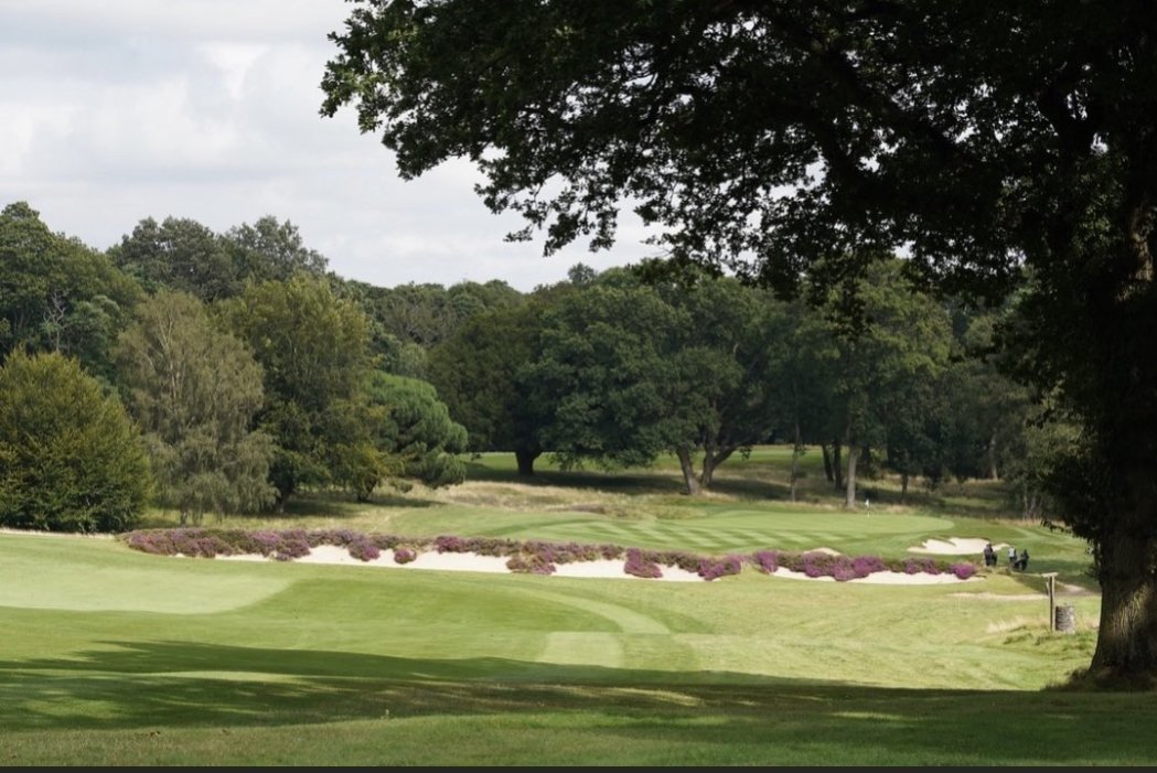 Levi Pethick (@levipethick) on Twitter photo Delighted to announce I have accepted the Deputy course manager role <a href="/StonehamGC/">Stoneham Golf Club</a>. Such an exciting opportunity to get back to what I love and work with <a href="/plestee/">ππΆππ π«ππππππΉ</a> and the amazing green staffπβ³ #cantwaittostart #teamstoneham #LetsGo Delighted to announce I have accepted the Deputy course manager role <a href="/StonehamGC/">Stoneham Golf Club</a>. Such an exciting opportunity to get back to what I love and work with <a href="/plestee/">ππΆππ π«ππππππΉ</a> and the amazing green staffπβ³ #cantwaittostart #teamstoneham #LetsGo