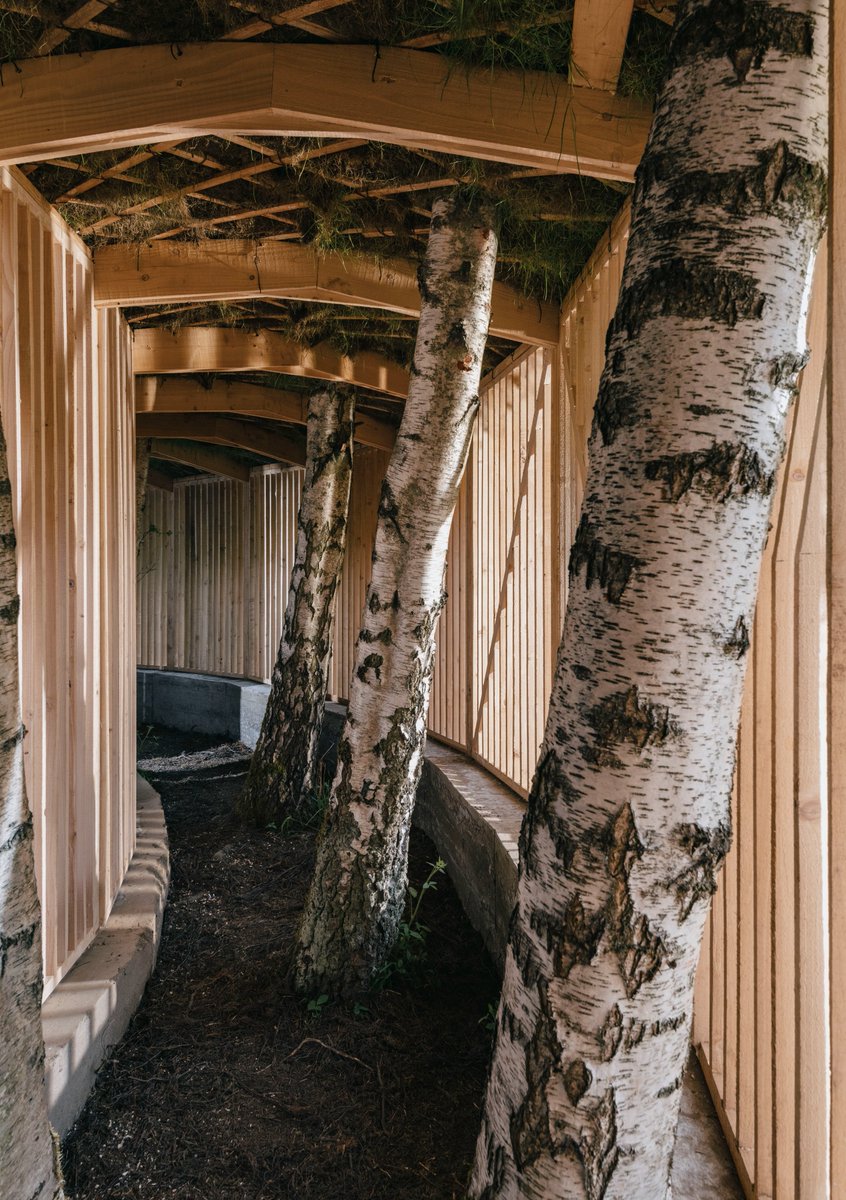 One year ago today, in a peaceful spot beside the lake <a href="/YSPsculpture/">Yorkshire Sculpture Park</a>, construction began on our first commission, Silence by <a href="/STUDIO_MORISON/">👁MORISON STUDIO👁</a>. Check out the transformation 🌱🌳

oakproject.org.uk/projects/silen… #StudioMorison #YSP