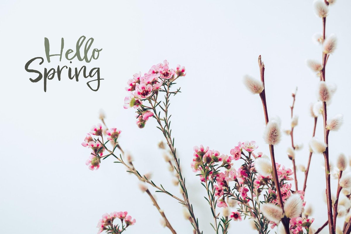 AnglinRepair's tweet image. Yesterday was the first day of Spring, and we are here for it! Enjoy the beauty and warmer weather until that pollen takes over. 🤧 #springtime #firstdayofspring #anglinsfoundationrepair #foundationrepair #masonryrepair #atlantafoundationrepair