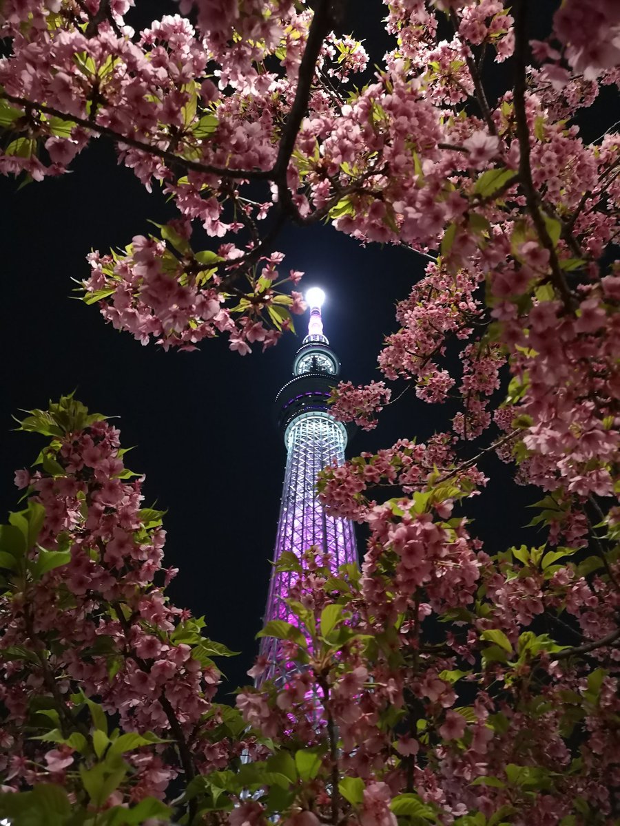 竹村 敬太 (@mikuharu) on Twitter photo 