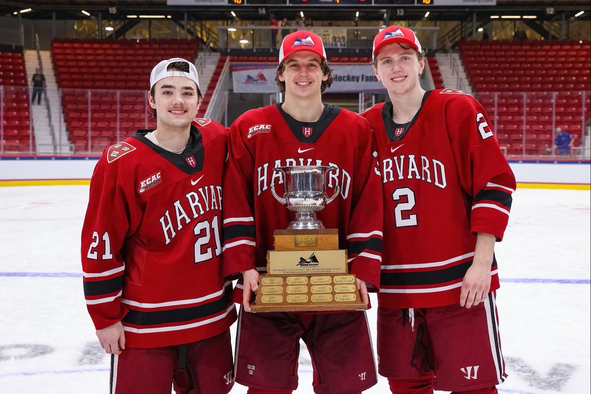 Carl Corazzini tweet media