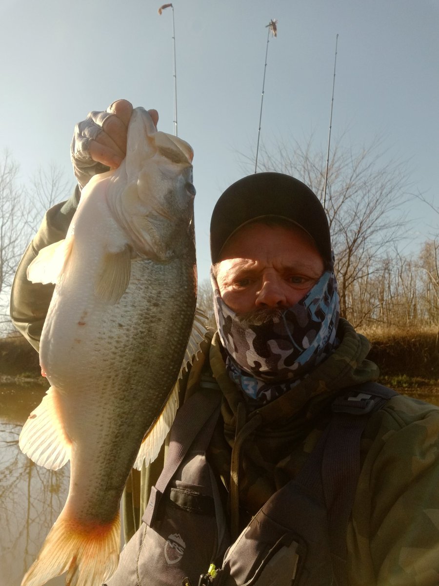 MShepherdFishin tweet picture