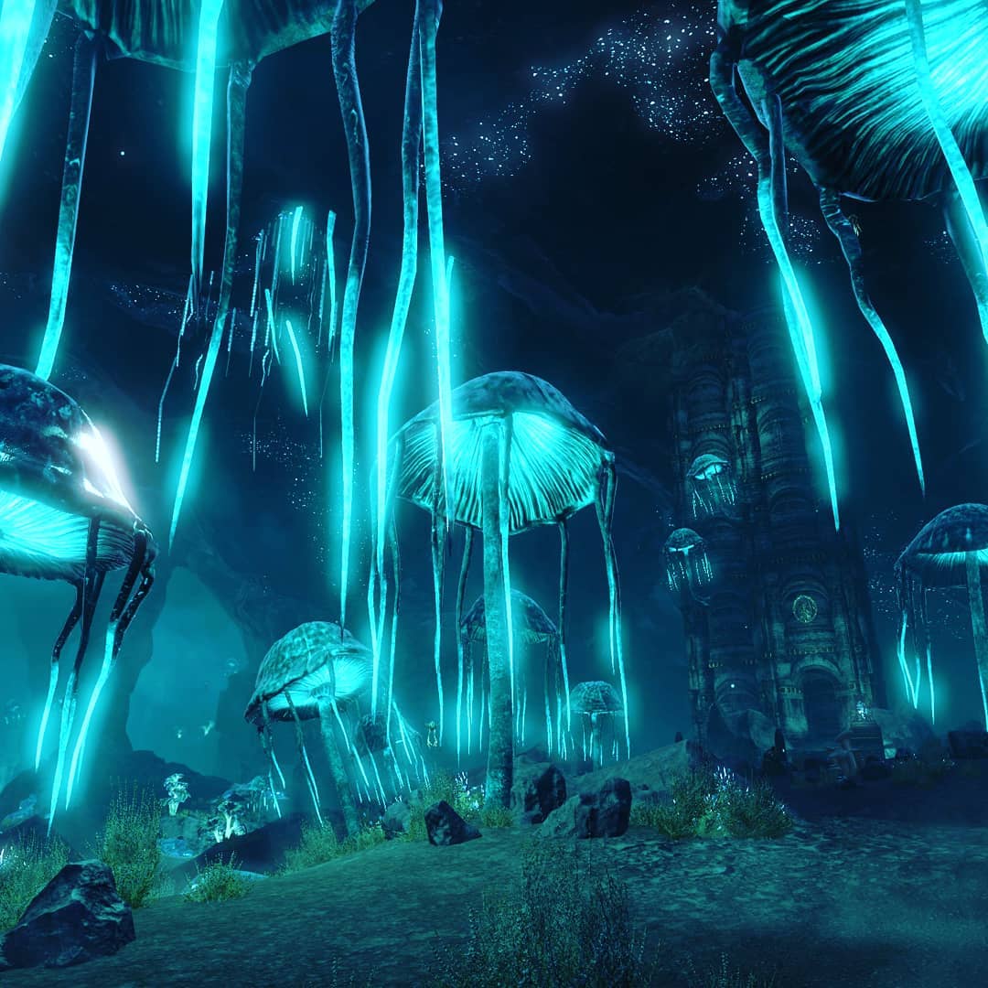 💕
#Theelderscrolls