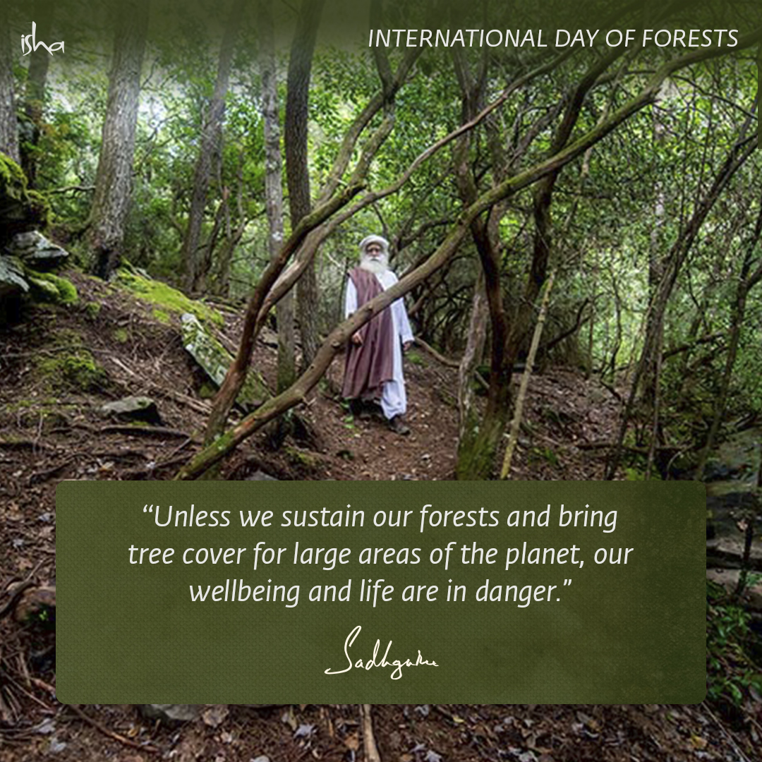 Unless we sustain our forests and bring tree cover for large areas of the planet, our wellbeing and life are in danger. 
#IntlForestsDay #SadhguruQuote