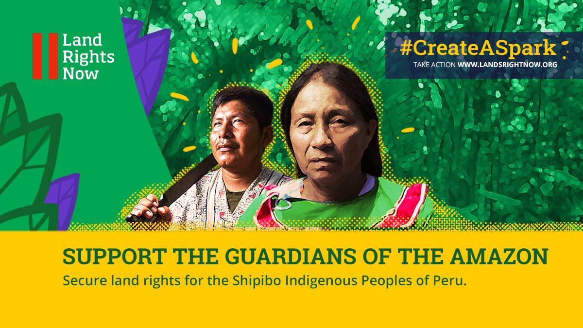 LandRightsNow's tweet photo. On this #InternationalDayofForests🌳here's an update from Santa Clara de Uchunya, the indigenous community from the Peruvian Amazon who lost its territory to a giant palm oil plantation. The community sued the company for land grabbing and the destruction of their forest.🧵 https://t.co/jHb3OARFe9
