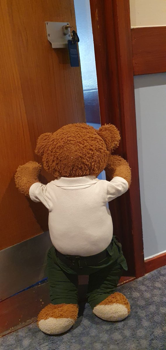 Here I am just checking in to my hotel room for the week. The next few days see us #teaching #EpilepsyAwareness #MajorIncident and #PetFirstAid. #bearswithjobs #teachingyoutosavelives