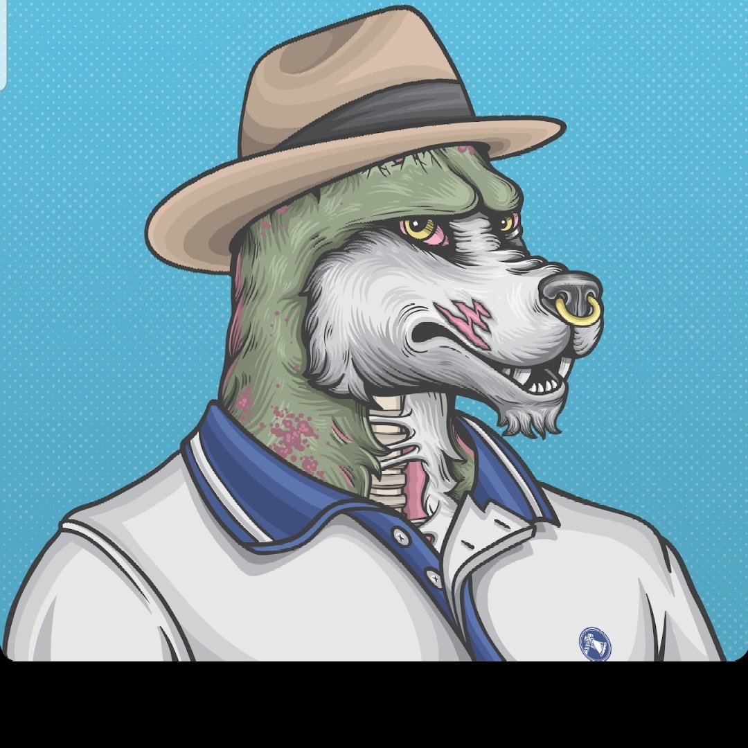 justjr88's tweet photo. @nft_dimadom My first one and what I consider the best project @cunningWolfNFT. #cunningwolfsociety #NFTs #Tokenflare https://t.co/vxJZxnEDoA