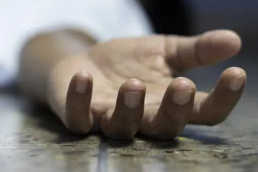 THEFREEMEDIA2K's tweet photo. Man dies after eating from a restaurant in Ajni, Nagpur
https://t.co/SzDj9gbOB8
#aftereating #fromarestaurant #Ajni #Mandies #Nagpur #news #media #newsmedia #thefreemedia https://t.co/OMkFAvvLY2