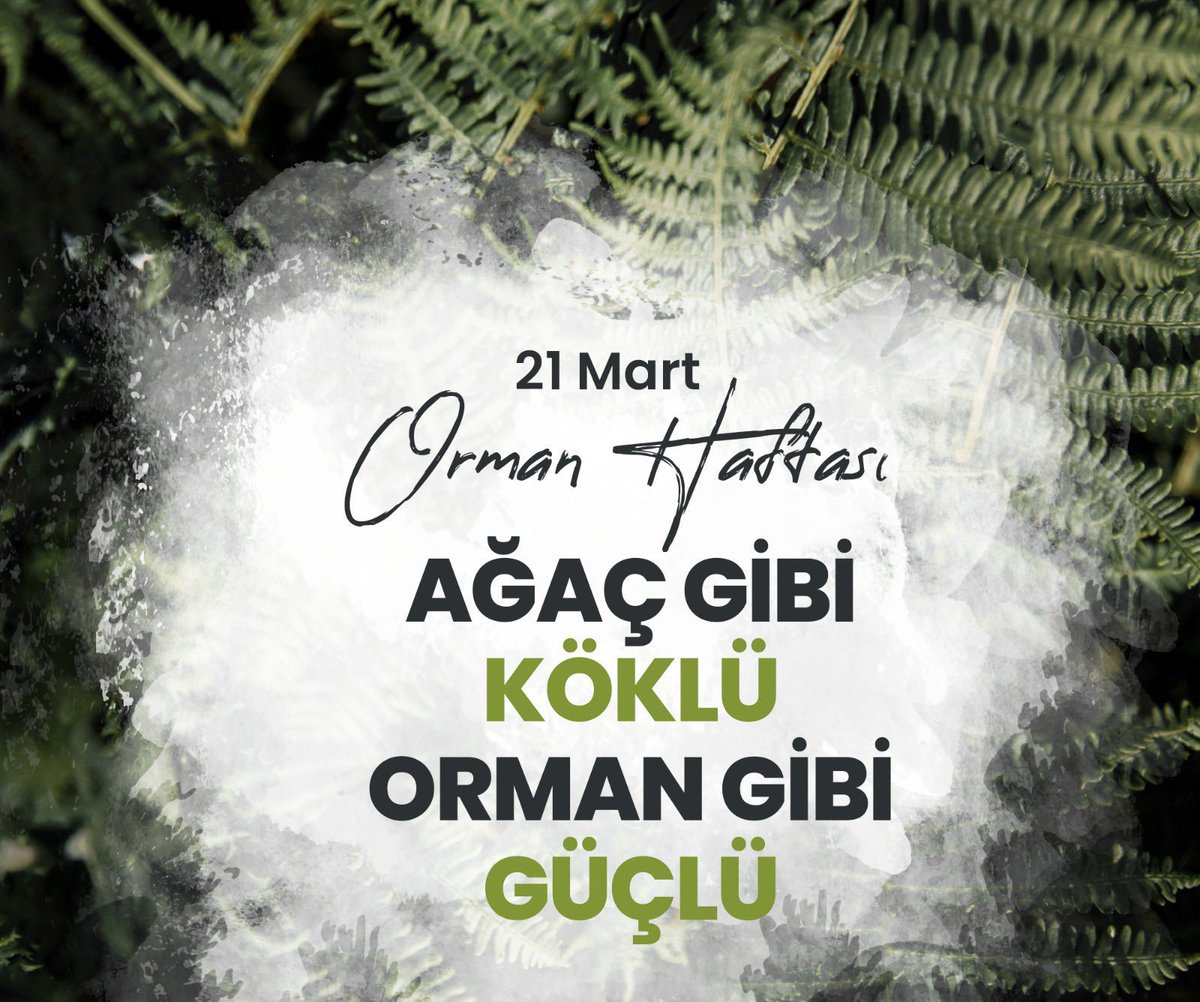 cevreormanvan's tweet photo. Ne mutlu bize…
Kökleriyle hayatlarımızı bir arada tutan, dünyamıza güzellik katan ormanlarımız ve #YeşilVatan aşkıyla onlara gözü gibi bakan, korumak için canını ortaya koyan ormancılarım��z var.🌳🌲
21-26 Mart Ormancılık Haftası Kutlu Olsun. 🇹🇷
#OrmanHaftası
#DünyaOrmancılıkGünü https://t.co/NncXr9C1VW