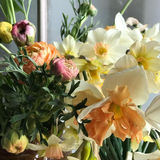 We are back on Saturday 9-12.30 with some wonderful Mother's Day flowers from Lally and the Hare and great food! You can pre-order from lollyandthehare.co.uk/get-in-touch/
<a href="/ExperienceOx/">Experience Oxfordshire</a> <a href="/DeddiOnLine/">Deddington Info</a> <a href="/Wassup_Oxford/">Wassup Oxfordshire</a>