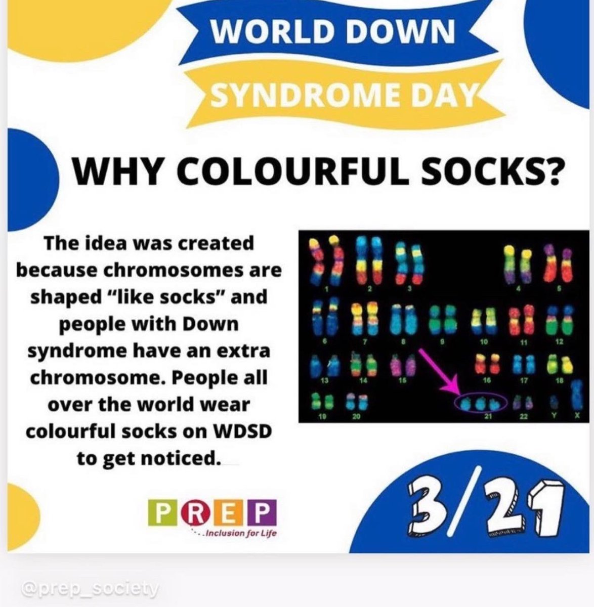 Kat Vizzone tweet media