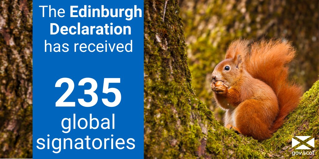 ScotGovUSA's tweet photo. The #EdinburghDeclaration was created to protect nature 🌎🌳

@NatureScot has launched an interactive map so you can see which regions have signed Scotland's shared international pledge for global biodiversity. 

Check it out 👉 https://t.co/S3Zz11lIVH https://t.co/MsHqEnywyv