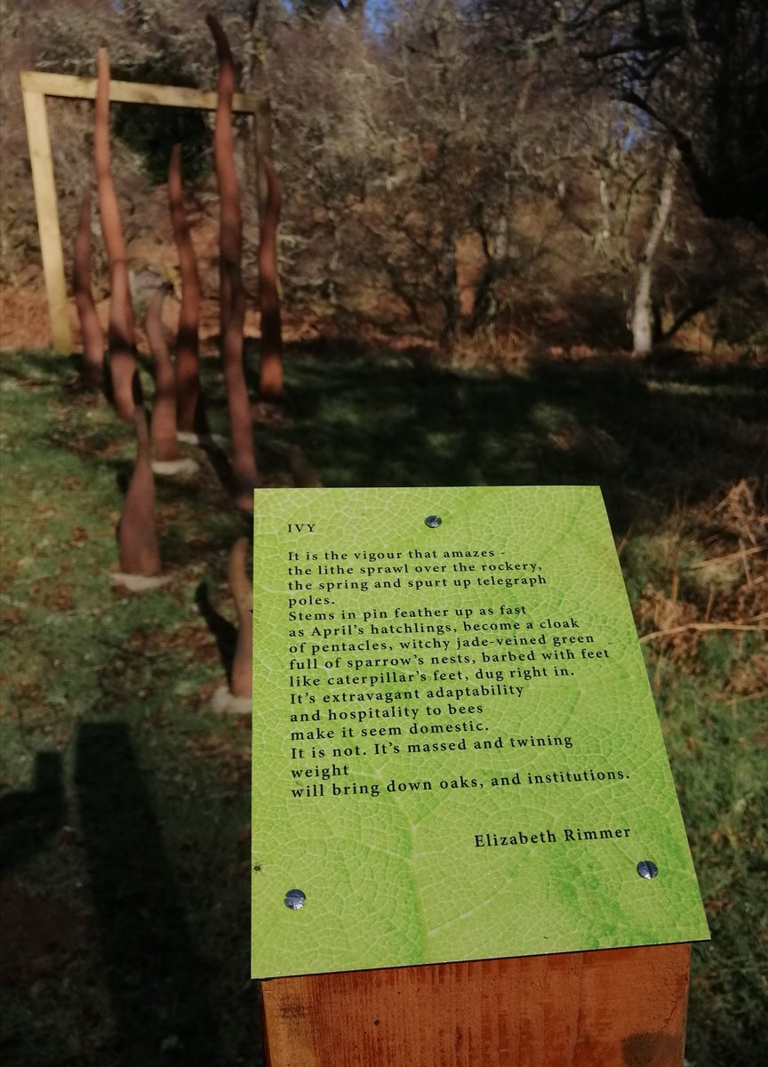 PoetryPath's tweet photo. Happy World Poetry Day from Corbenic Poetry Path and a picture of the wonderful poem 
'Ivy' by @haggardherbs https://t.co/3LyhqVVbYu