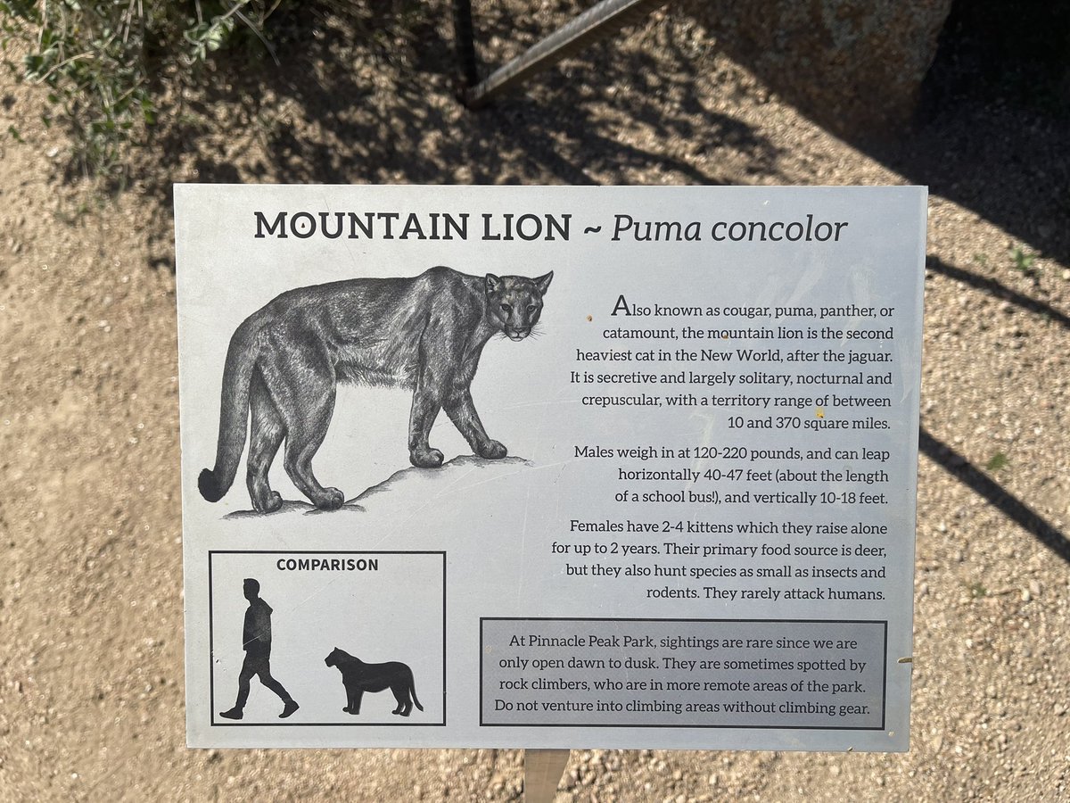 “After a day’s walk, everything has twice its usual value." GM Trevelyan #springbreak2022 Once a Mountain Lion, always a Mountain Lion. ❤️ #MillsResourceTeam