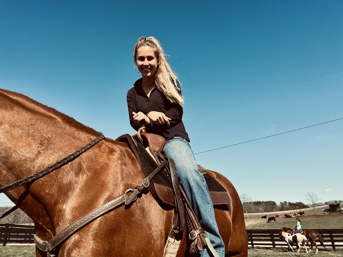shiny horses &amp; sunshine 🌞