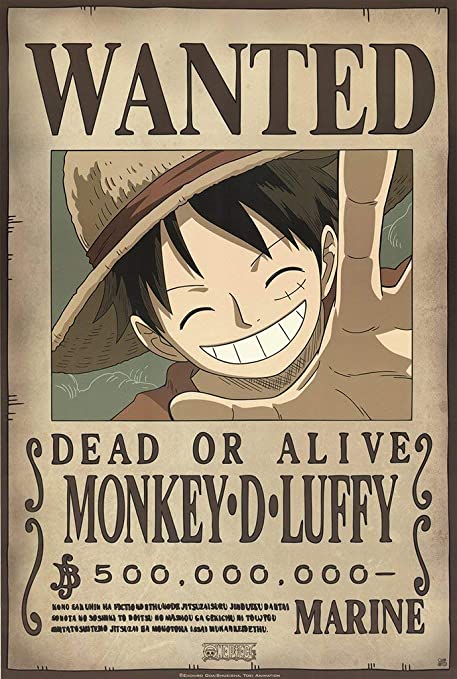 Luffy NoNoooooo 😂  One piece manga, One piece luffy, One piece meme