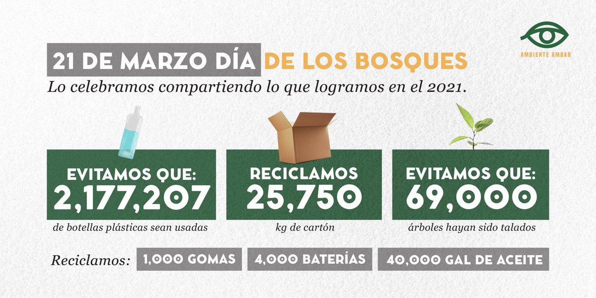Hoy 21 de marzo se conmemora el Día Internacional de los Bosques. 🌲 Queremos compartir lo que logramos en el 2021 junto a ti, con cada visita que hiciste a nuestro taller de servicios. #RSE #ODS #AmbienteAmbar #ElMañanaNosMueve