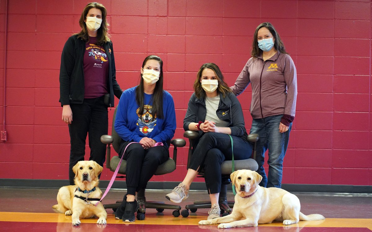 Meet Fern and Tasha! ❤️🐾These two new facility dogs arriving at our hospital this spring are stepping in to fill some big pawprints after Rocket, our first facility dog, retired. Find out how this special pair will help children at our hospital heal. ➡️