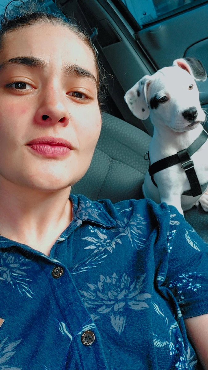 👽🐶❤