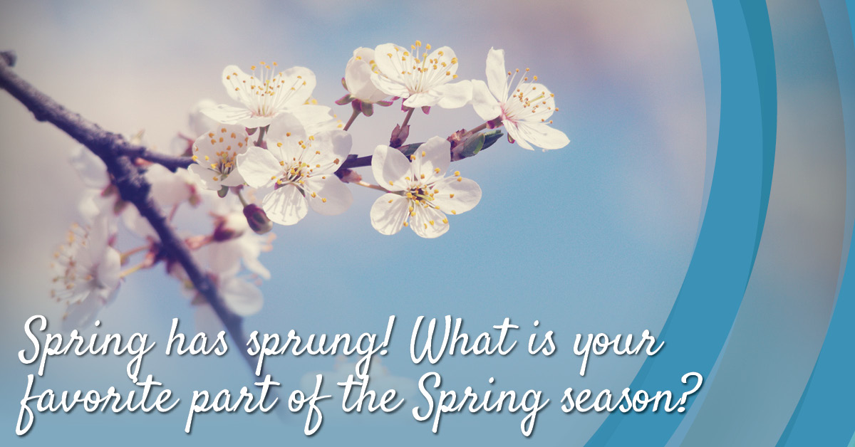 Comment below and let us know!