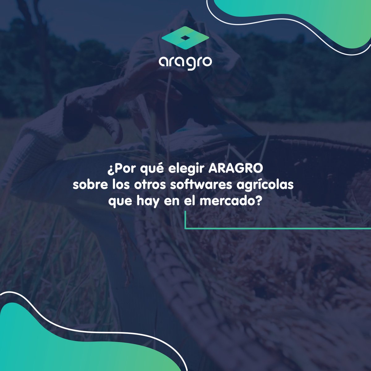 AragroApp's tweet photo. Hay muchas opciones, ¡pero solo una te brinda todas las soluciones que necesitas!

Conocé las razones por las que nuestros clientes han preferido #Aragro sobre los otros #agrosoftwares del mercado.

#Cosecha #Agricultura #AgriculturaDePrecision #AgTech #AgroTech #SoftwareAgricola https://t.co/6vBsDVv86N