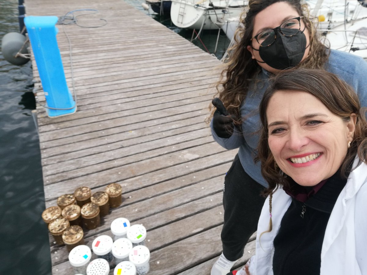 raffaellacasot2's tweet photo. T5 of winter and t0 of the spring one! Go #microplastix! #stazionezoologicaantondohrn #leganavalenapoli https://t.co/LPjNZlxTgb