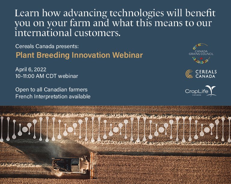 Cereals_Canada's tweet photo. ATTENTION Canadian wheat growers! See how modern plant breeding technologies can benefit your farm.
https://t.co/l1AbUUUnCz

#CdnAg #Agresearch #Cdnwheat
@AlbertaWheat @SaskWhea @mb_cropalliance @GrainFarmers https://t.co/k4XviLrsIm