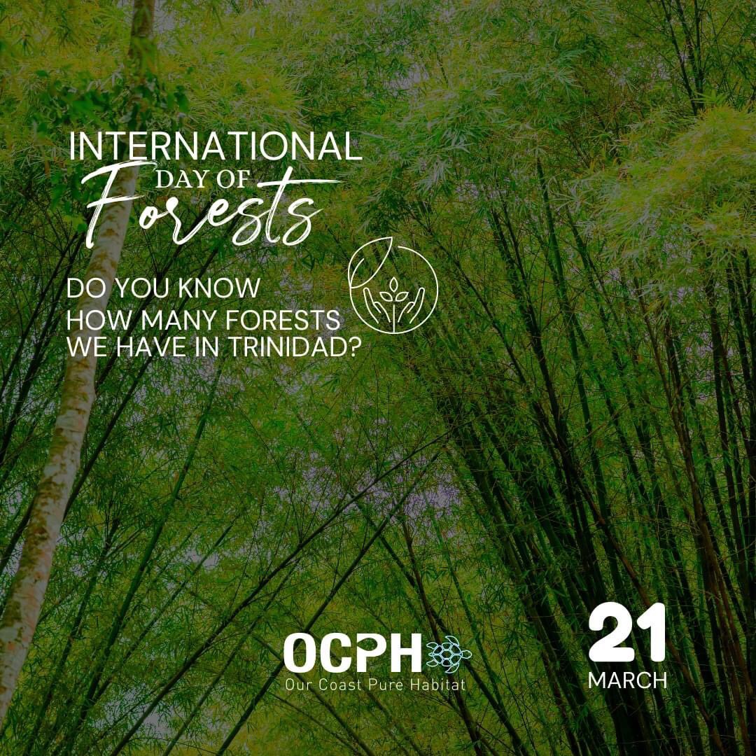 Our_Pure_Coasts's tweet photo. 🌿On International Day of Forests, let us pledge to conserve &amp; enhance T&amp;T's forested areas &amp; biodiversity 🌿
...
Do you know how many forests we have in Trinidad?
Take a guess in the comments #OCPH https://t.co/bpG0klbAUM