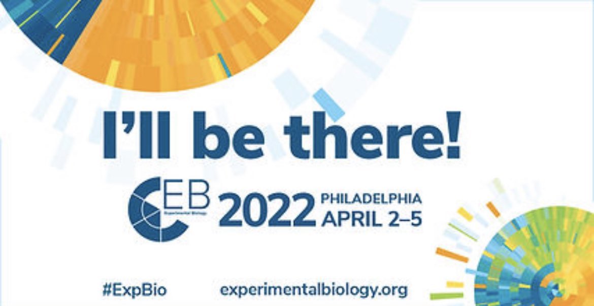 KElsaafien's tweet photo. Excited for my first in-person presentation since COVID!
If you are interested in the interplay between the neuroendocrine and the autonomic axes in stress, come to my talk at @expbio on April 4 from 8:30-9AM.
@egkrause_uf @UFPharmacy @UFMBI @APSPhysiology
#ExpBio #CICMD https://t.co/ciy0sk3xnt