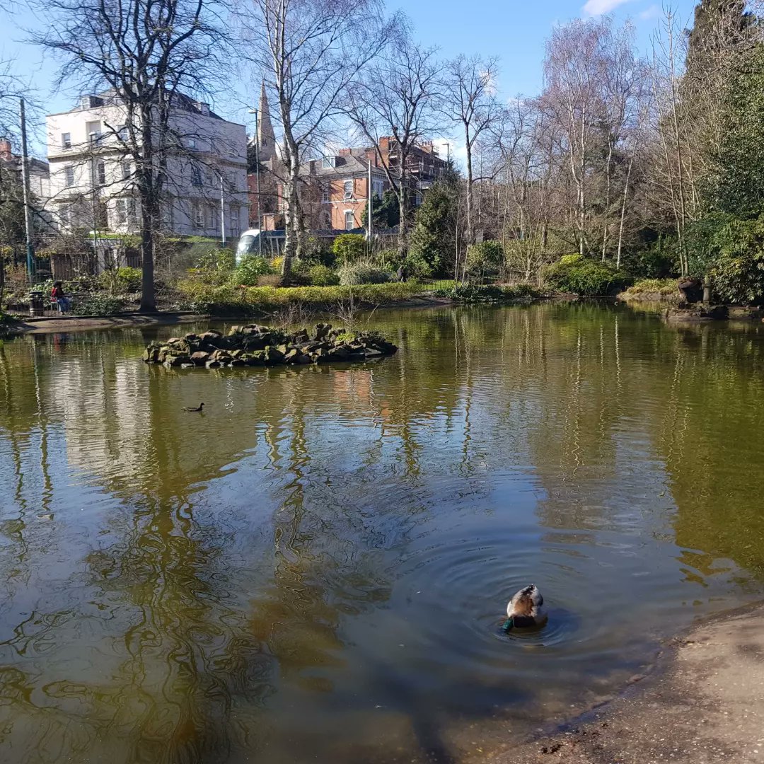 ruthonrails's tweet photo. #NottinghamExpressTransit ✅
A week ago today, I turned Nottingham trams into an amazing day out, going on both lines and ate my lunch in the Arboretum 🚋 I had annual leave to use up, so went to Nottingham for the week, more to follow! @VisitNotts
https://t.co/V0Hxe2Wu6w https://t.co/g4gcTQ8cMy