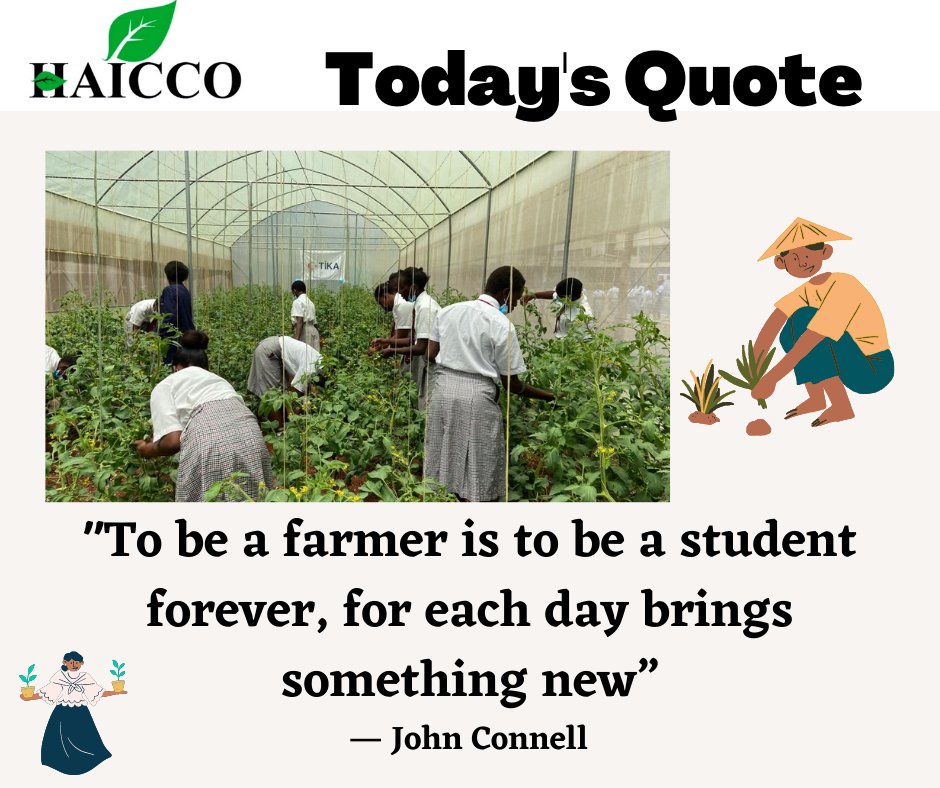 haiccokilimo's tweet photo. Do you agree?
Everyday it's a good day to be a farmer, learning never ends💪. https://t.co/mX8Tewlr9i