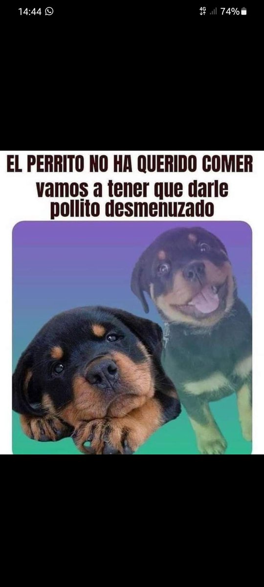mvetash's tweet photo. Jajajaj hasta mis enanos hacian eso con mi abuelita jajaja terribles https://t.co/vGqgeuLG74