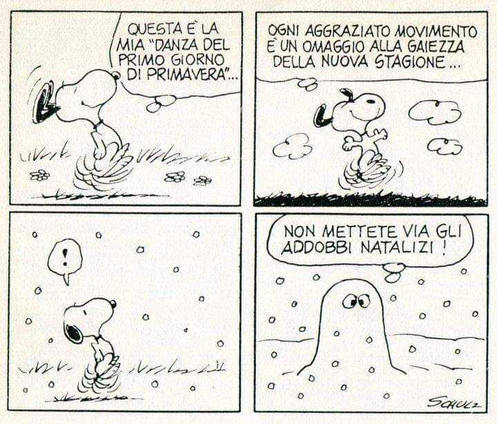 Gianna06764472's tweet image. #happyspringtime
#springtime 
#Snoopy