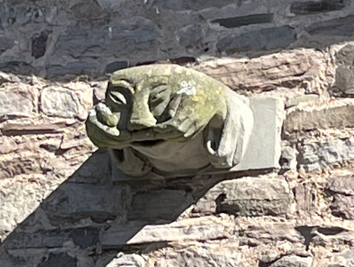 Barb_Drummond's tweet image. New #grotesques #BreconCathedral
