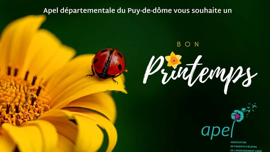 APELpuydedome's tweet photo. Les beaux jours sont là. Nous vous souhaitons de beaux moments à venir : loto, marchés aux fleurs, kermesse...Toute l'équipe de l'#APEL63 est là pour vous aider dans vos projets.
📩apel.departement63@gmail.com 
☎️04.73.98.27.71
@Apelnationale @EnsCatho @acclermont @RCFPuydeDome https://t.co/WpN3tkAu1v