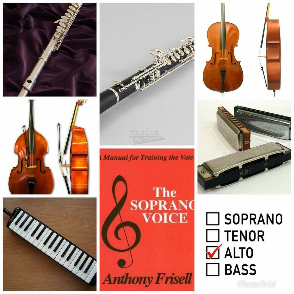 Our instrument showdown March Madness bracket begins today. Vote in our story up above 👆 instagr.am/p/CbXewZRrfih/