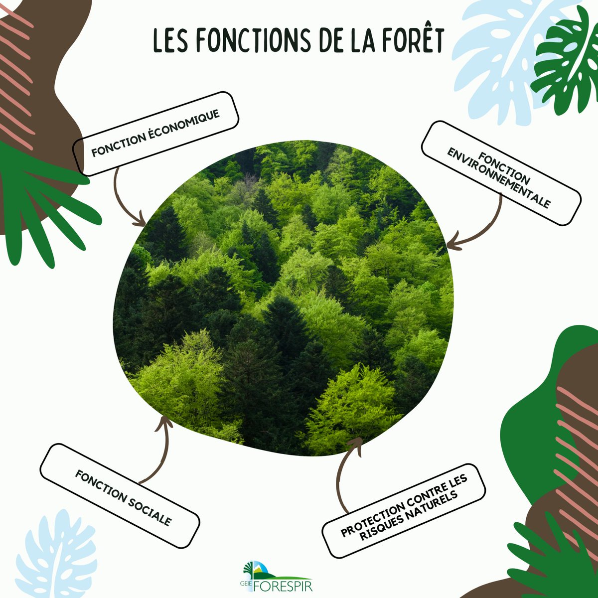 FORESPIR_'s tweet photo. Au sein de #Forespir, nous nous engageons dès aujourd'hui à préparer les forêts de demain🌳
À l'occasion de la journée internationale des forêts, Retour sur nos actions pour préserver et valoriser les espaces forestiers pyrénéens 👉https://t.co/ZL5IToWJ6L https://t.co/j0ILreAXj7