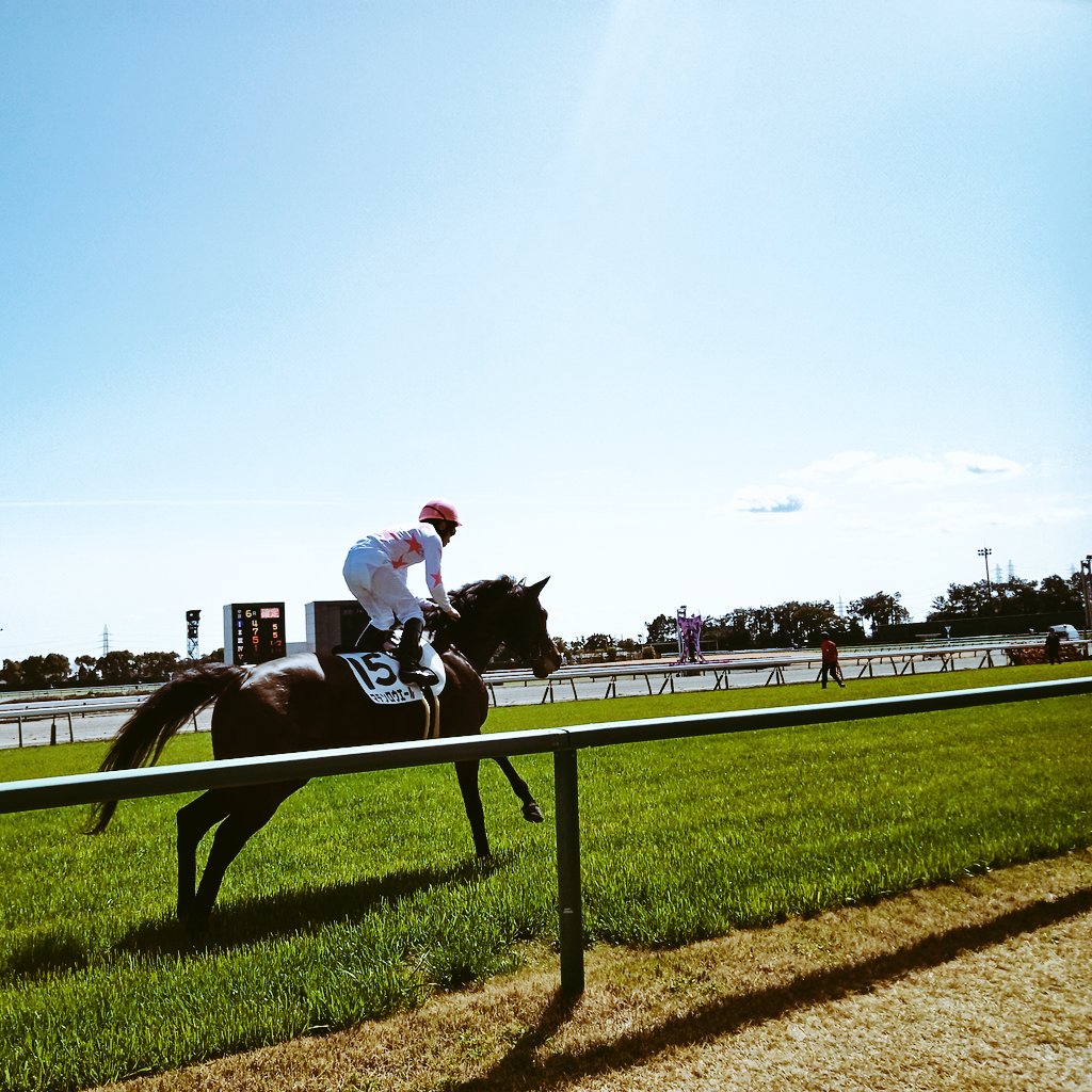 ichi4each's tweet photo. 初馬場！迫力満点
 #馬 #中京競馬場 #万馬券ありがとう https://t.co/EN1V2BoNgN