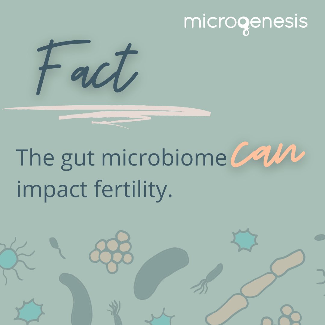 The science proves it. Reproductive immunology researchers, Gabriela Gutierrez, Ph.D. &amp; Agustina Azprioz, Ph.D. spent 15 years studying the impact of the gut microbiome on fertility outcomes. If you are #ttc, schedule a free consult w/ us today: microgenesis.net/mg/contact #guthealth