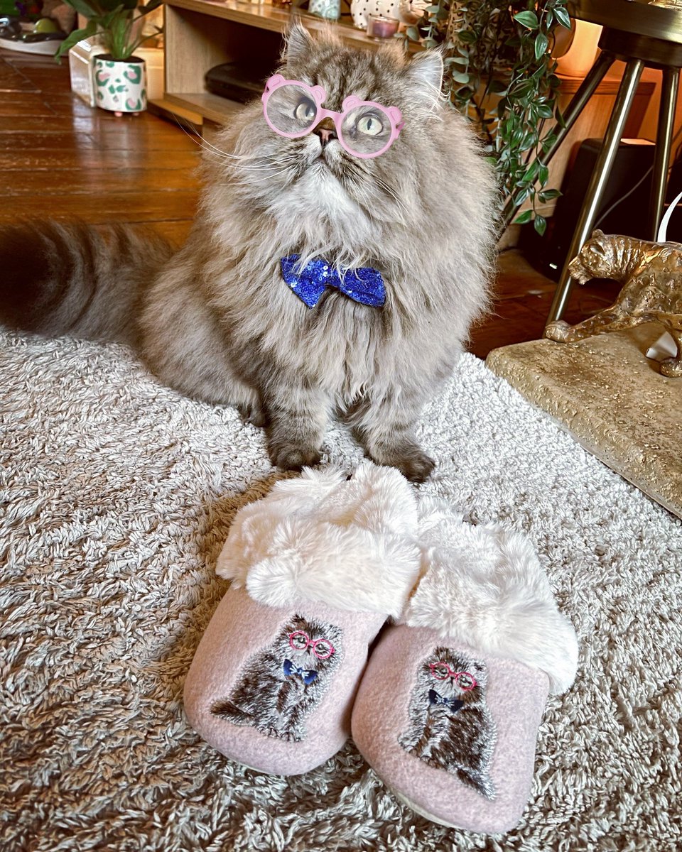 Lydia Baker tweet media