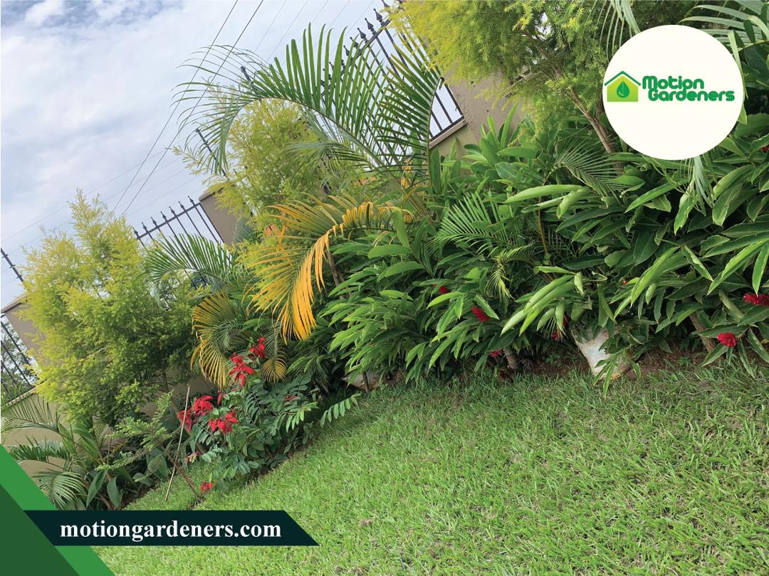 motiongardnrs's tweet photo. motiongardeners Turn your lawn into lush, green expanse. We mow grass, fertilise, clean up, mulch beds and much more. Speak to us today! https://t.co/97r5hiFYKV # landscaping #motiongardeners https://t.co/Ig8m3e9pjn