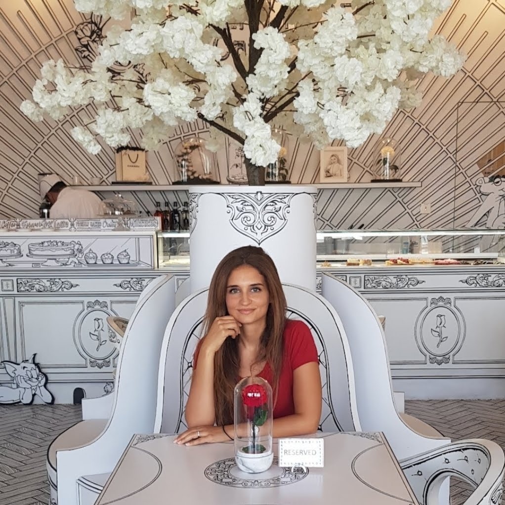 Plain Tiger tweet media