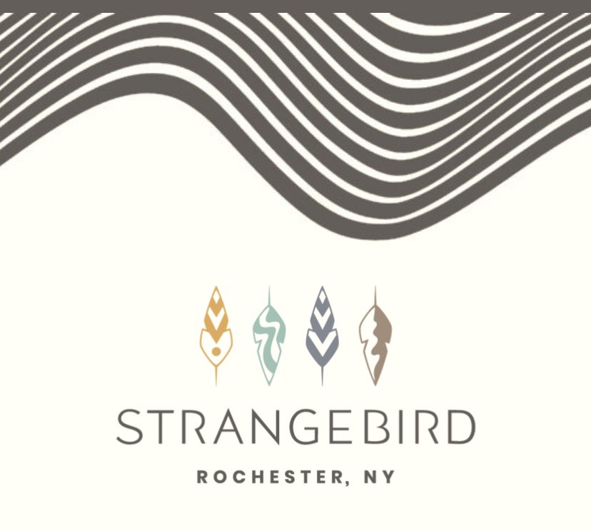 DCBeer's tweet photo. Strangebird Wins, Will They Fly South Again? https://t.co/qjmigfbwNR https://t.co/7Z3S3Mr6Kx