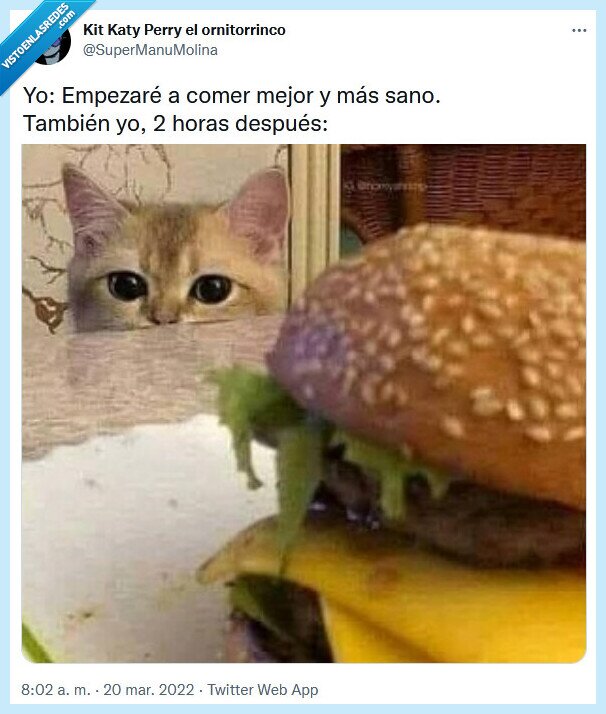 Visto en las Redes tweet media