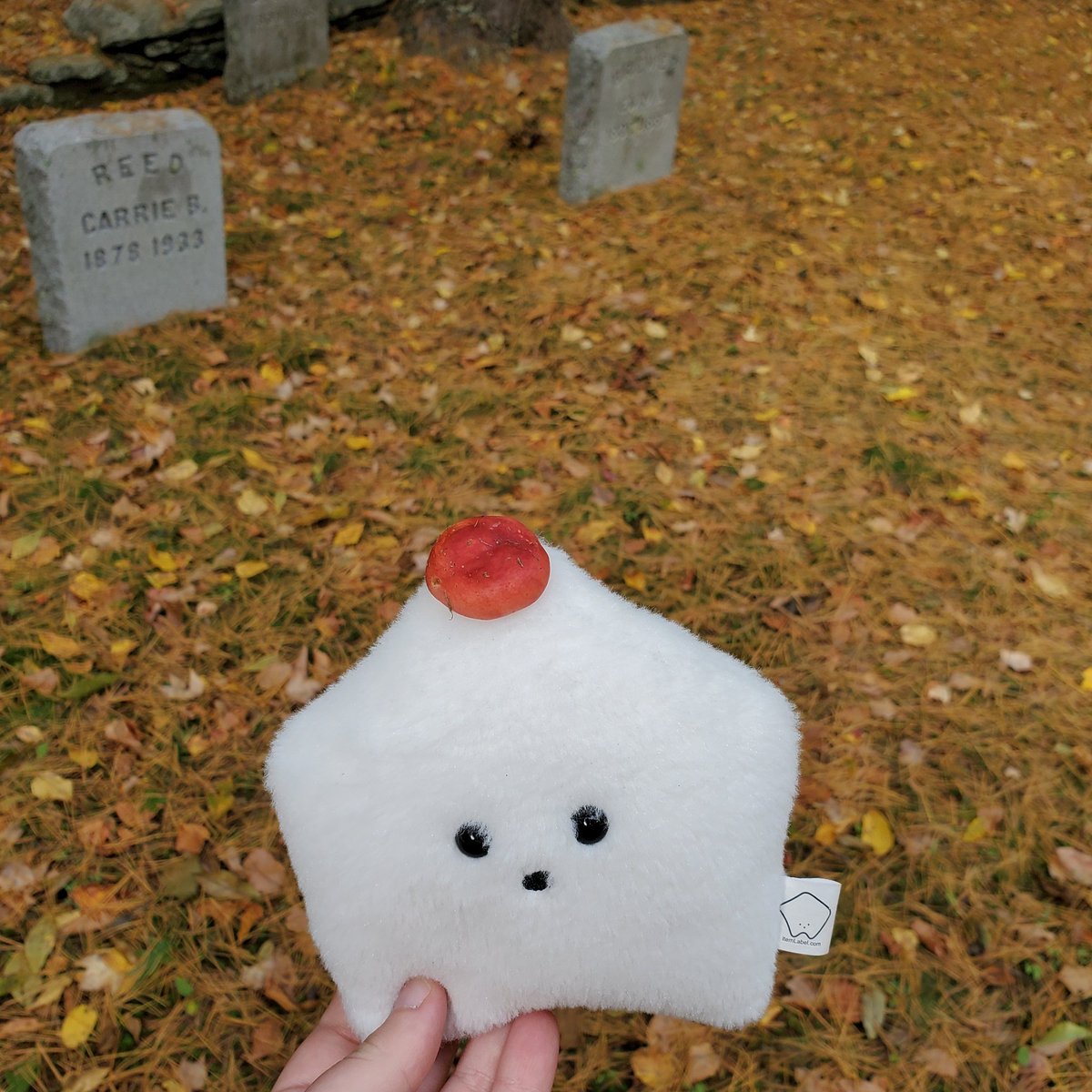 sucklet7's tweet photo. mushroom hat. mushroom hat. haunted graveyard mushroom hat. π.
#sucklet. #mushroomlet. #hatlet. https://t.co/Pp83THSETm