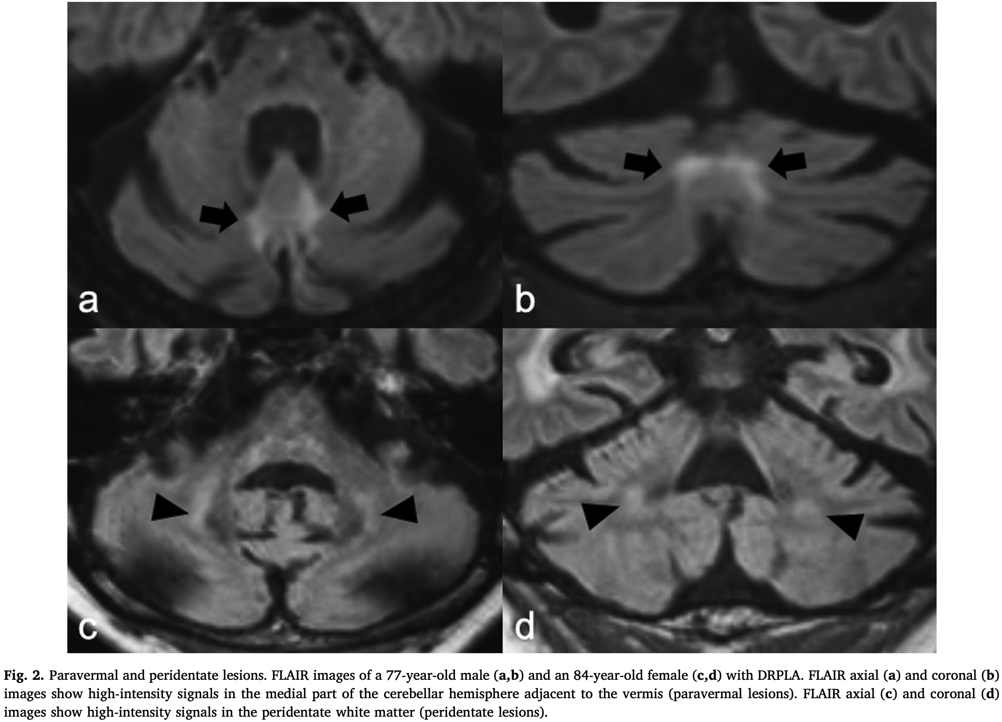 病気が見える！1.2.3.4.7.8 病気が見える！1.2.3.4.7.8 病気が