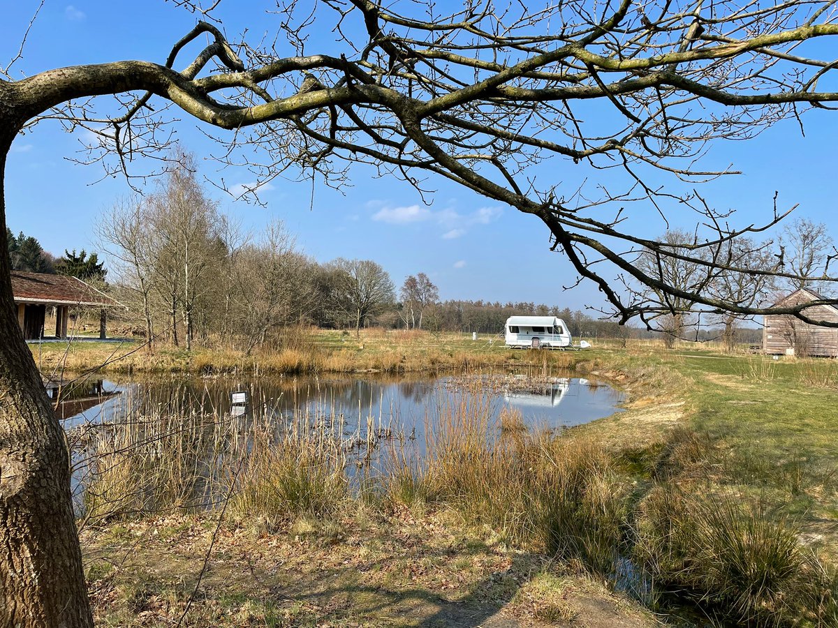deklashorst's tweet photo. Kampeerplaats 42 te Diffelen. Ruim en zonnig met uitzicht over de natuurvijver of over de landerijen. #vroegkamperen #wintercamping #natuurkampeerterrein #eetbaarlandschap #vechtdal https://t.co/u6GZrBz4dG